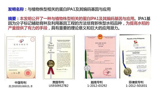 李家洋院士团队荣获第二十四届中国专利银奖